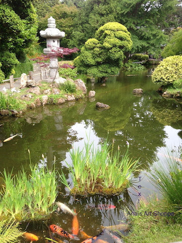 japanese koi garden