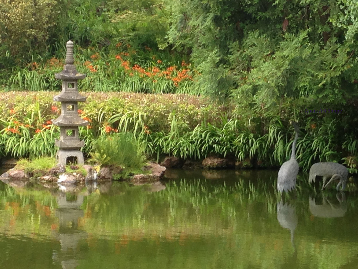 Japanese Tea Garden in San Francisco Botanical Garden Zen Photo Pond Koi Fish and Crane Pagoda