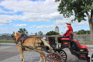 Romantic photo of horse carriage with coachman in Quebec City, Quebec Canada, Blue sky, cobble stones, romantic horse drawn carriage original photo 