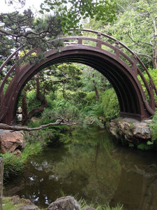 Infinity Bridge Japanese Garden San Francisco California Photo Digital Download